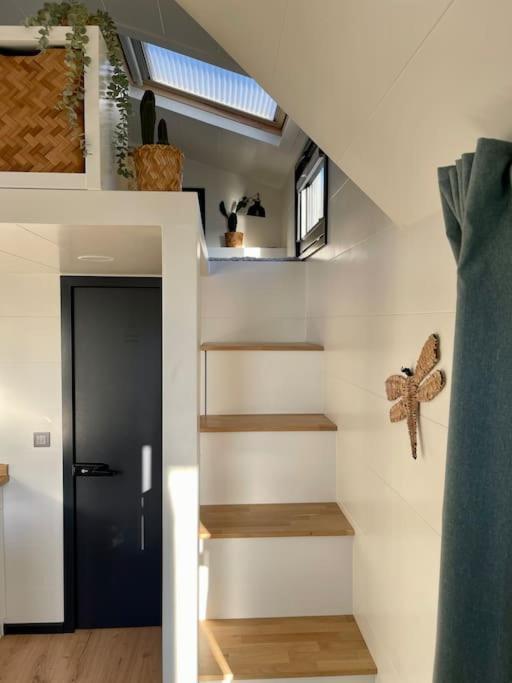 Tiny House With Sauna & Jacuzzi Near Amsterdam Vijfhuizen Ngoại thất bức ảnh