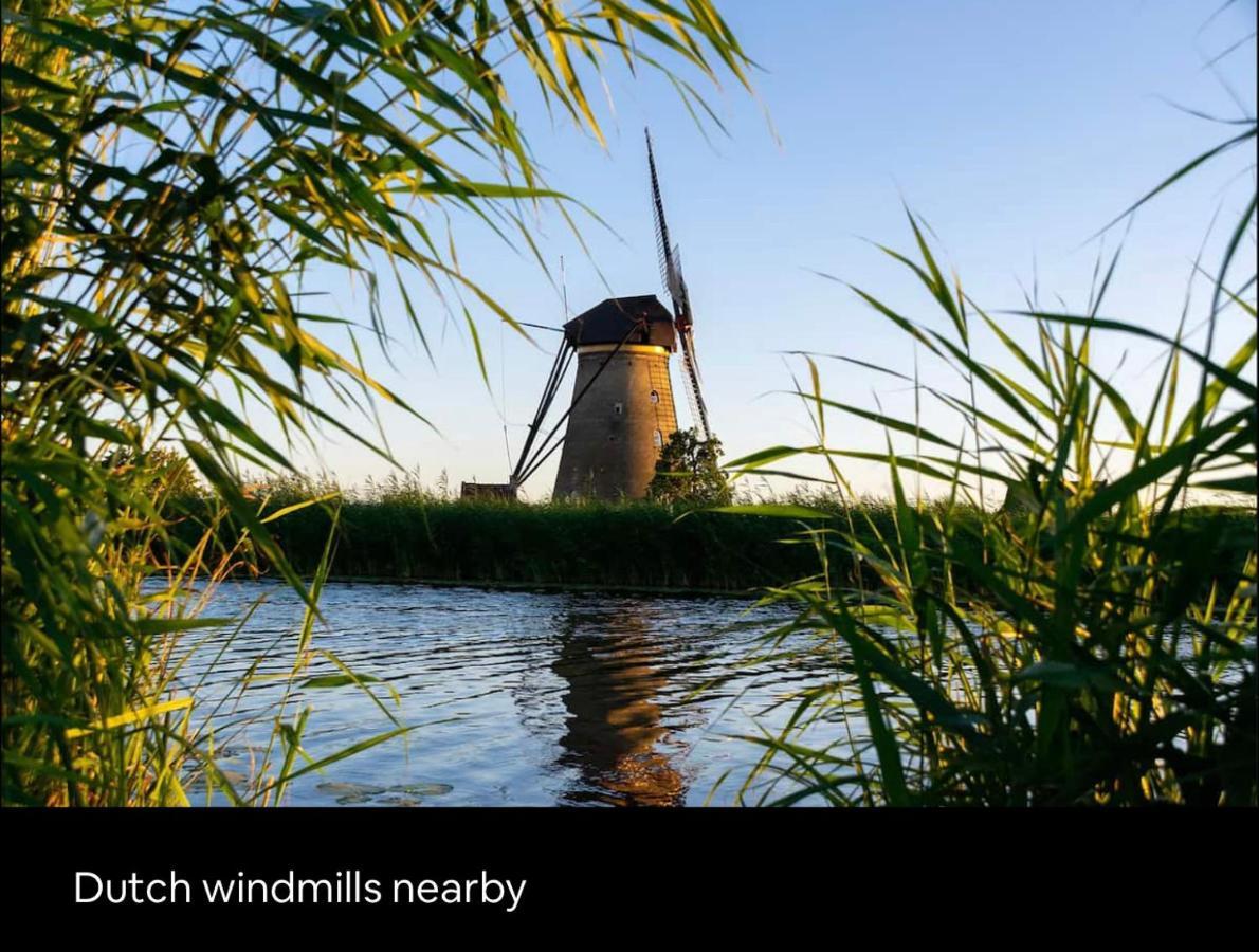 Tiny House With Sauna & Jacuzzi Near Amsterdam Vijfhuizen Ngoại thất bức ảnh
